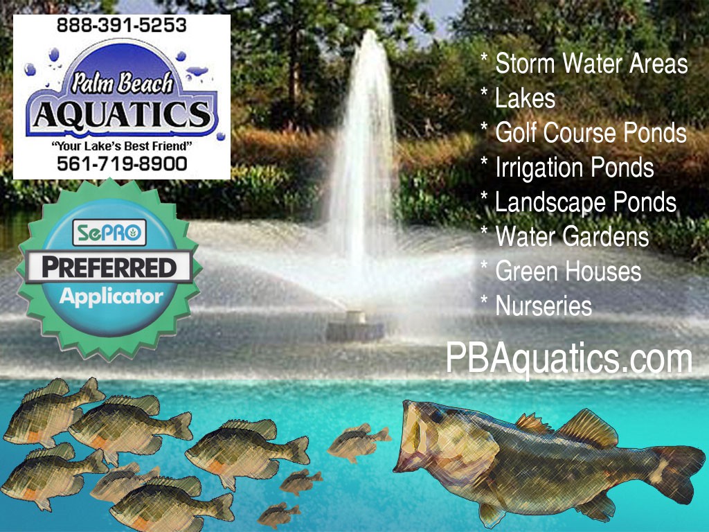 Palm Beach Aquatics Lake Fountains & Aerators