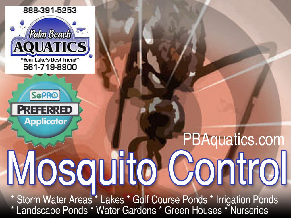 Palm Beach Aquatics Mosquito Control