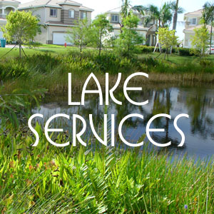 Lake Management Services in the Palm Beaches