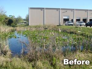 Palm Beach County and South Florida Aquatic Weed Removal