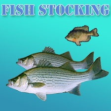 Florida Lake and Pond Fish stocking