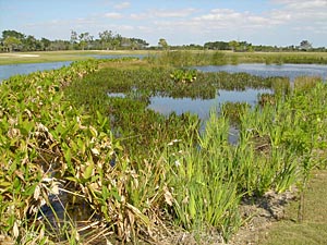 Preserves Lakes and Wetlands managment