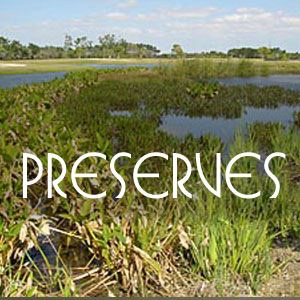 keep your wetland, upland preserves and littoral zones healthy and lush and keep them in compliance with federal, state, and local environmental regulations.