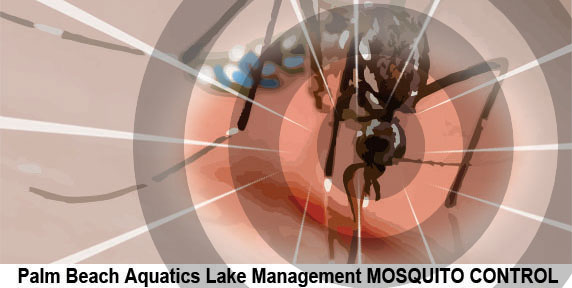 Mosquito Control West Palm Beach Florida offering a completely green approach to mosquito,